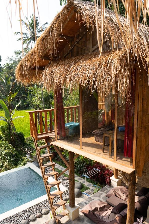 Bali Bamboo Jungle Huts And Hostel Tampaksiring Luaran gambar
