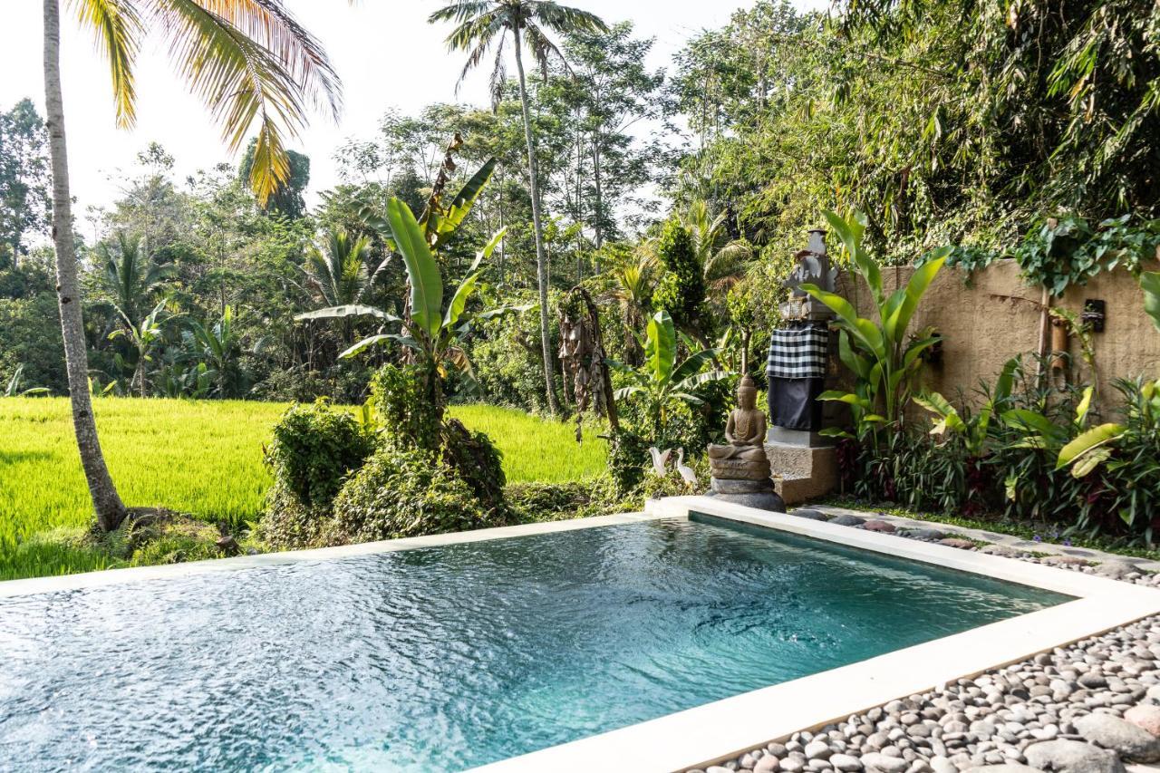 Bali Bamboo Jungle Huts And Hostel Tampaksiring Luaran gambar