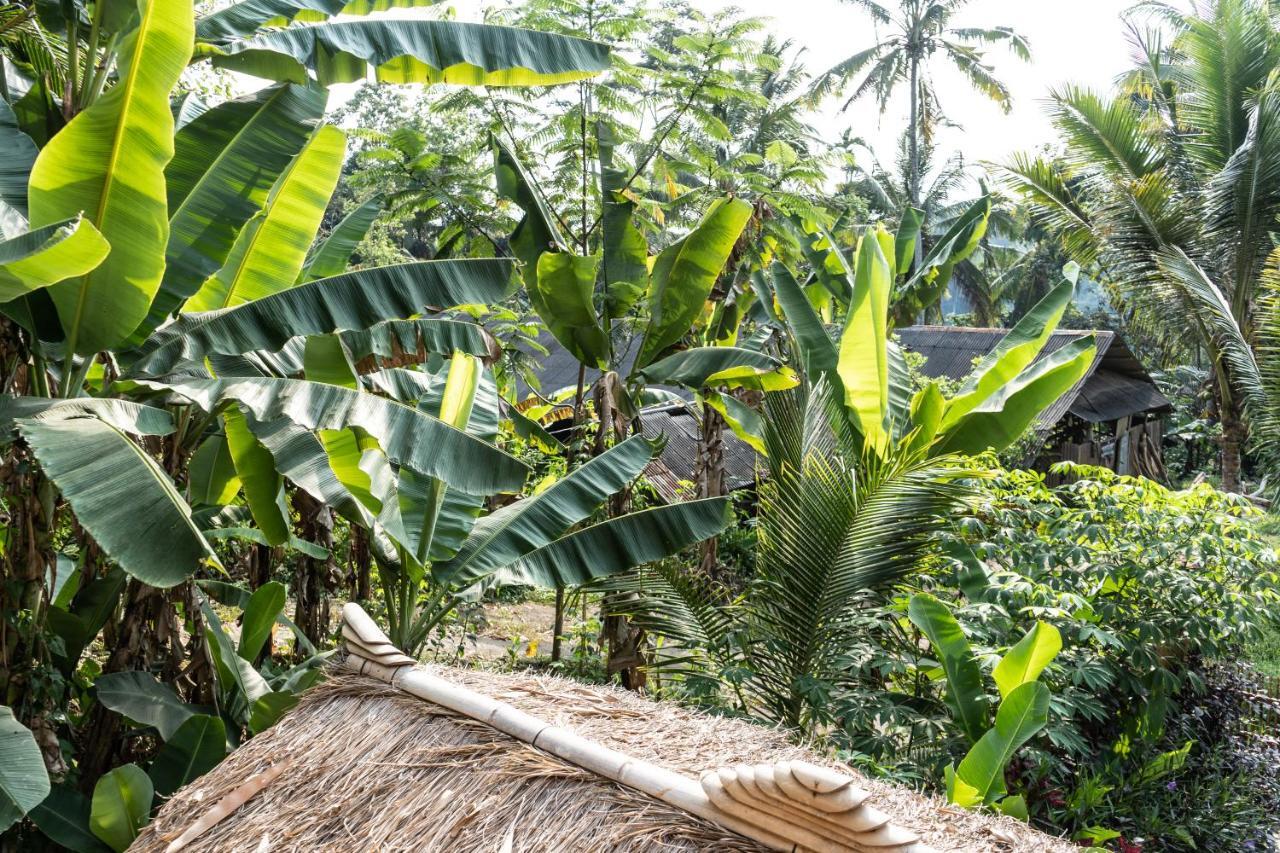 Bali Bamboo Jungle Huts And Hostel Tampaksiring Luaran gambar