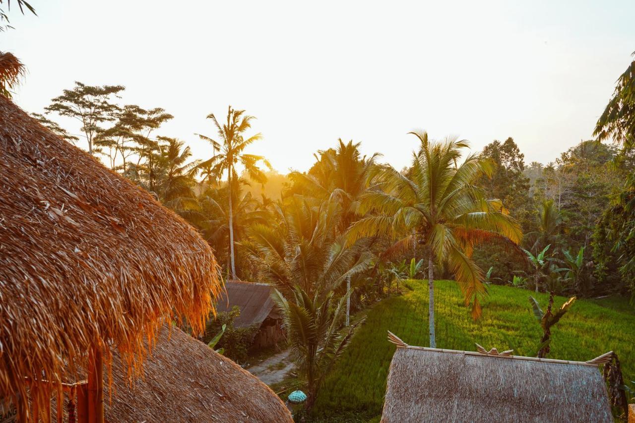 Bali Bamboo Jungle Huts And Hostel Tampaksiring Luaran gambar