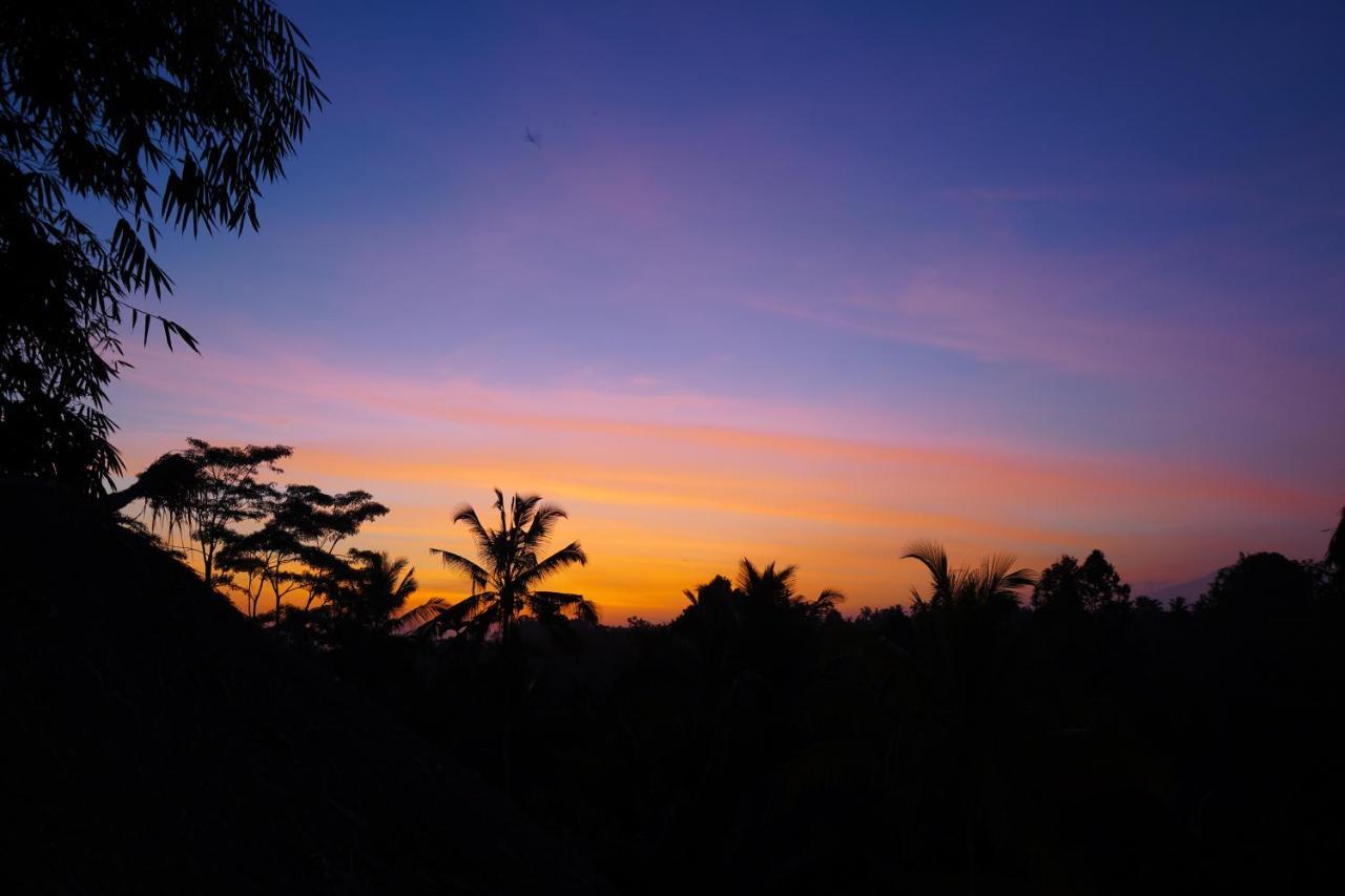 Bali Bamboo Jungle Huts And Hostel Tampaksiring Luaran gambar