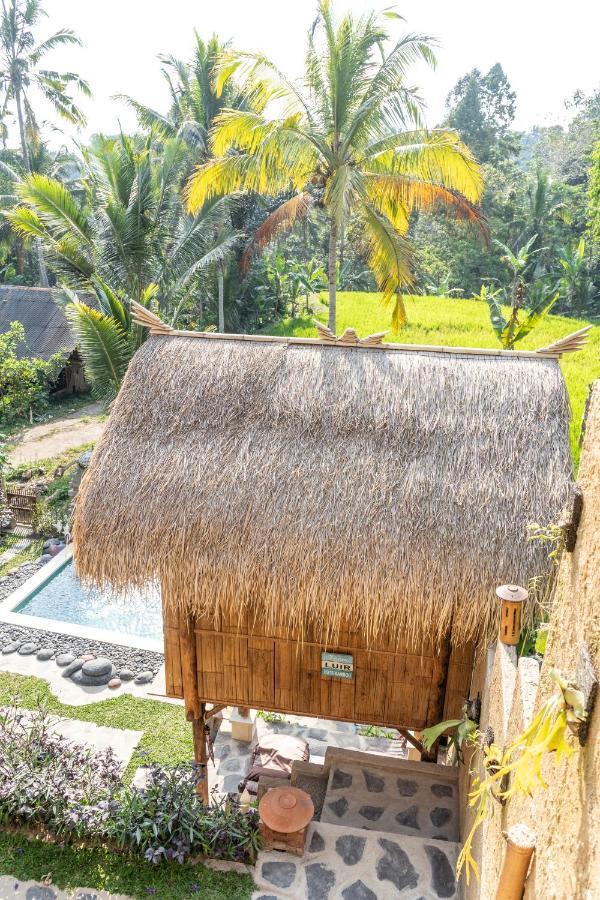 Bali Bamboo Jungle Huts And Hostel Tampaksiring Luaran gambar