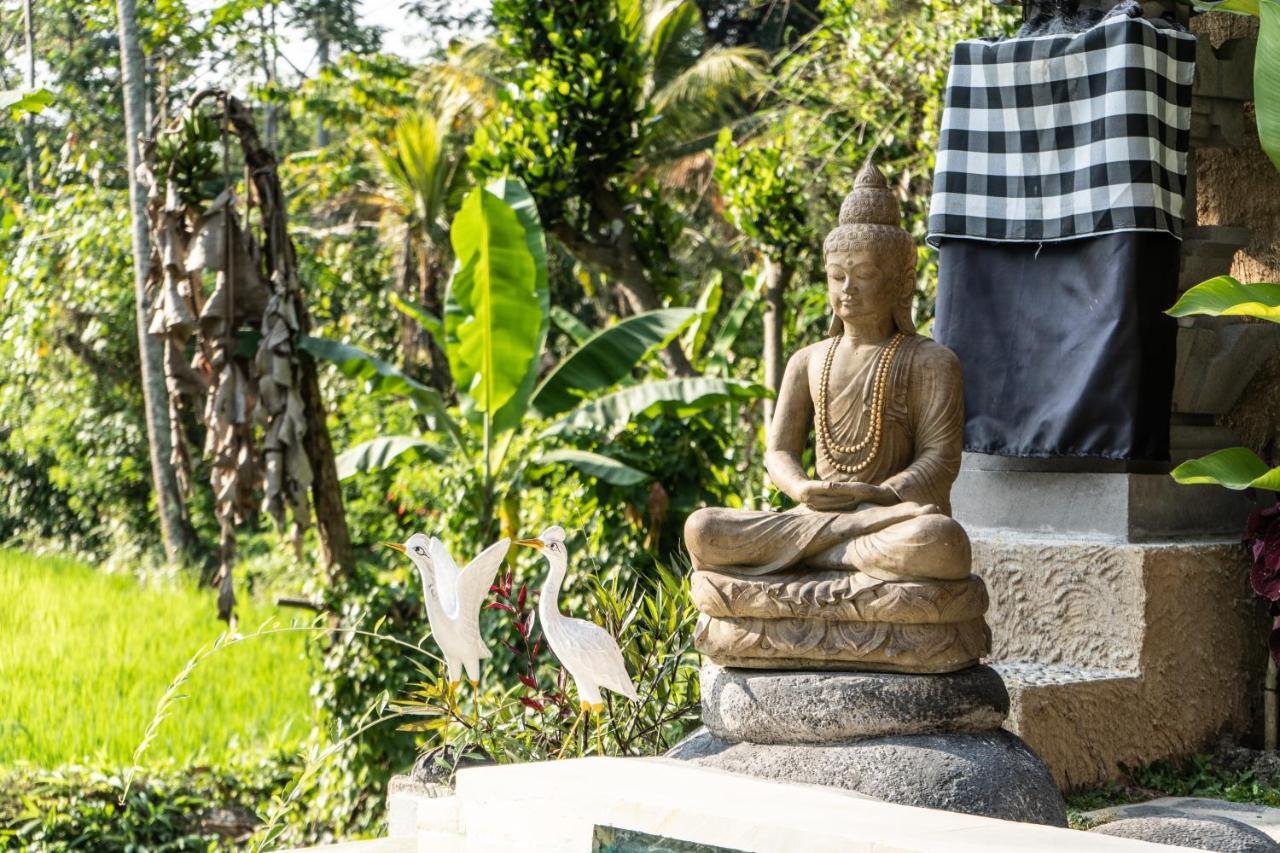 Bali Bamboo Jungle Huts And Hostel Tampaksiring Luaran gambar